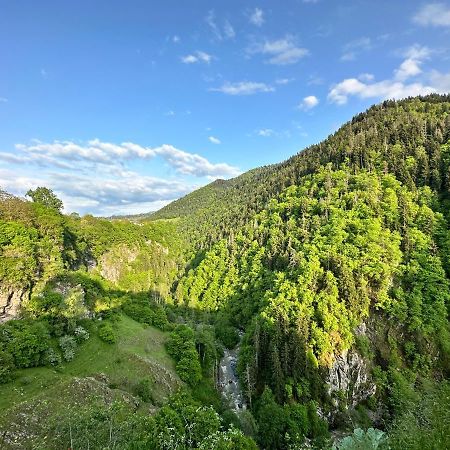 Green Mountain Borjomi Exterior foto