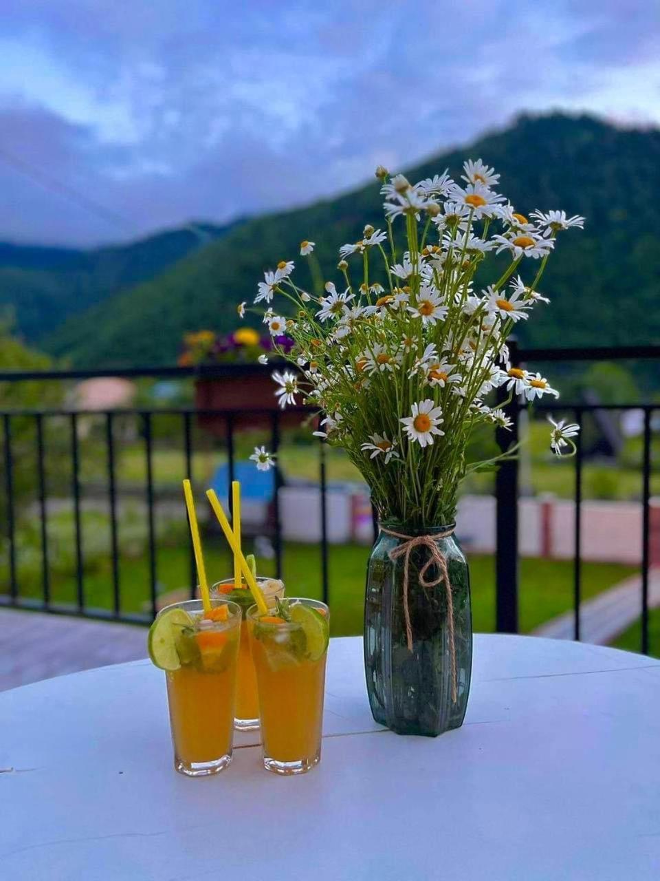 Green Mountain Borjomi Exterior foto